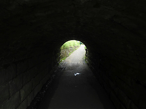 Filename=HPC-16TC-058.JPG
Filesize=92KiB
Dimensions=1500x1125
Date added=Mar 03, 2024 HPC-16TC-058.JPG