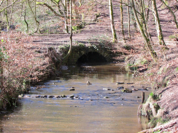 Redisher Woods 
17-Buildings and the Urban Environment-05-Street Scenes-013-Holcombe Brook Area
Keywords: 2017