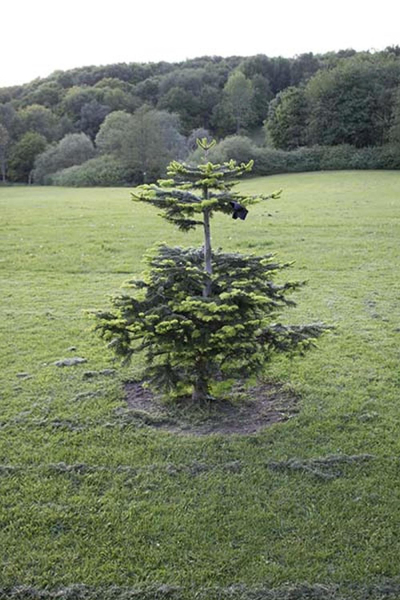 Summerseat Christmas Tree
17-Buildings and the Urban Environment-05-Street Scenes-028-Summerseat area
Keywords: 2017
