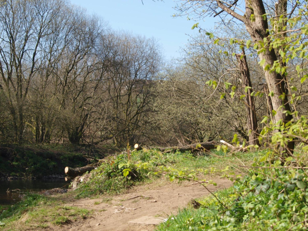Nuttall Park 
14-Leisure-01-Parks and Gardens-001-Nuttall Park General
Keywords: 2017