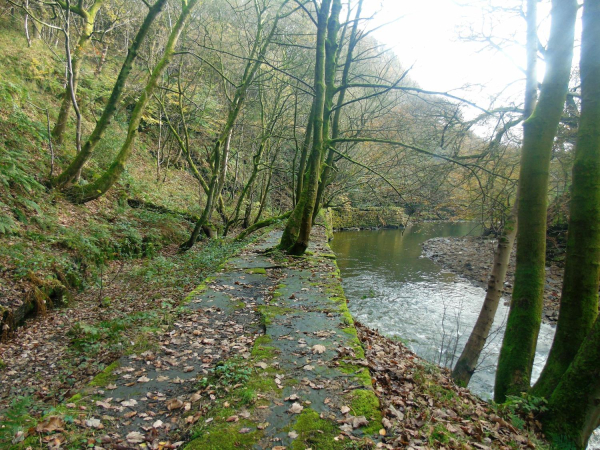 Gollinrod Gorge, showing Nuttall Mills tail race which enters a tunnel before exiting into River Irwell 
17-Buildings and the Urban Environment-05-Street Scenes-019-Nuttall area
Keywords: 2017