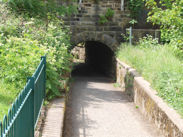 Tunnell from Nuttall Park to Cormar Carpets
14-Leisure-01-Parks and Gardens-001-Nuttall Park General
Keywords: 2018