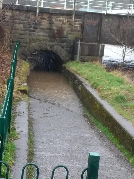 flooding in Nuttall Park.jpg
14-Leisure-01-Parks and Gardens-001-Nuttall Park General
Keywords: 2019
