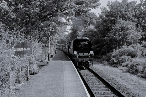  Summerseat Station On War Weekend ? Taken at Rammy War Weekend
19-Animals and Plants-01-General-001-Bleakholt Animal Sanctuary
Keywords: 2019
