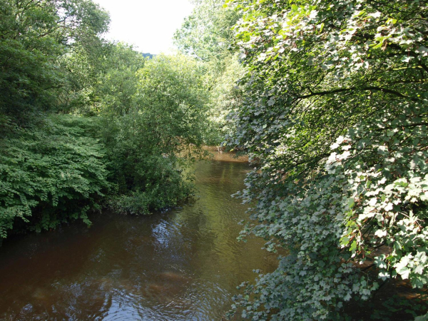 River Irwell Nuttall Park
14-Leisure-01-Parks and Gardens-001-Nuttall Park General
Keywords: 2019
