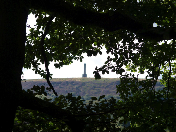 Peel Tower from Nuttall Park
14-Leisure-01-Parks and Gardens-001-Nuttall Park General
Keywords: 2019