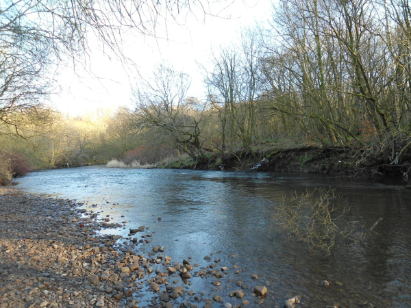 River Irwell Nuttall Park
14-Leisure-01-Parks and Gardens-001-Nuttall Park General
Keywords: 2019