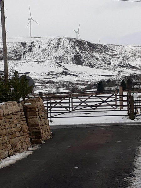 Bleakholt Animal Sanctuary in snow
19-Animals and Plants-01-General-001-Bleakholt Animal Sanctuary
Keywords: 2019