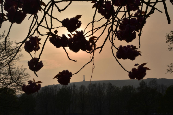 holcombe tower from Nuttall Park 
14-Leisure-01-Parks and Gardens-001-Nuttall Park General
Keywords: 2019