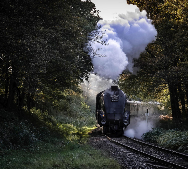 Union of South Africa approaching Summerseat ? Taken at the Wood Road crossing in October. 
17-Buildings and the Urban Environment-05-Street Scenes-028-Summerseat Area
Keywords: 2019