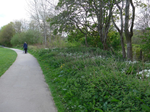 Nuttall Park, Refreshments & Gardens
14-Leisure-01-Parks and Gardens-001-Nuttall Park General
Keywords: 2019
