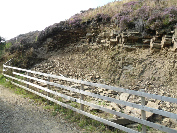 Corrosion on side of Hill  
18-Agriculture and the Natural Environment-03-Topography and Landscapes-001-Holcombe Hill
Keywords: 2021