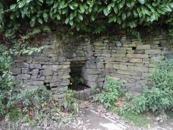 Old Well bottom of Holcombe Hill  
18-Agriculture and the Natural Environment-03-Topography and Landscapes-001-Holcombe Hill
Keywords: 2021