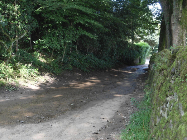 Path from Bottom Holcombe Hill leading to Cross Street  
18-Agriculture and the Natural Environment-03-Topography and Landscapes-001-Holcombe Hill
Keywords: 2021