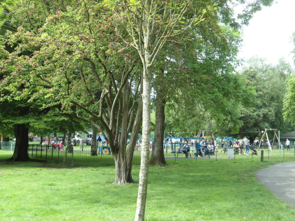 Queen Elizabeth II Platinum Jubilee Celebrations in Nuttall Park organised by Friends of Nuttall Park and Ramsbottom Rotary 
14-Leisure-01-Parks and Gardens-001-Nuttall Park General
Keywords: 2022