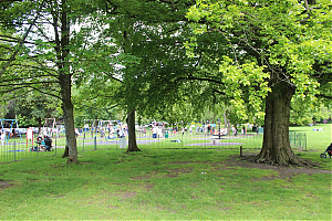 Filename=HPC-22GE-117.JPG
Filesize=398KiB
Dimensions=1500x1000
Date added=Jun 28, 2024 HPC-22GE-117.JPG