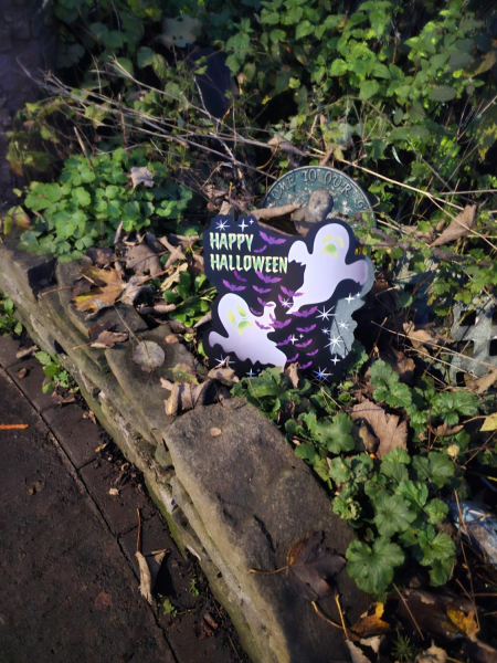 Halloween River Garden Stubbins 
17-Buildings and the Urban Environment-05-Street Scenes-027-Stubbins Lane and Stubbins area
Keywords: 2023