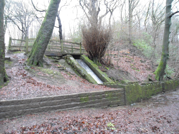Water Fall in Nuttall Park in full flow
14-Leisure-01-Parks and Gardens-001-Nuttall Park General
Keywords: 2023