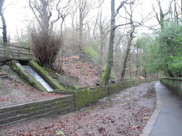 Water Fall in Nuttall Park in full flow
14-Leisure-01-Parks and Gardens-001-Nuttall Park General
Keywords: 2023