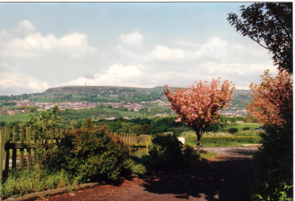 View of Holcombe Hill 
18-Agriculture and the Natural Environment-03-Topography and Landscapes-001-Holcombe Hill
Keywords: 1987