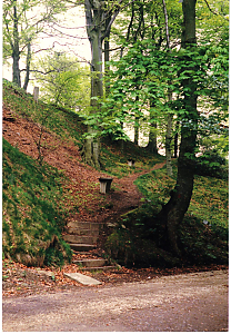 Filename=RHSDC21-COMP-HPC1987GE-067.jpg
Filesize=383KiB
Dimensions=1250x1800
Date added=Feb 07, 2026 RHSDC21-COMP-HPC1987GE-067.jpg