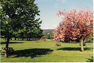 Filename=RHSDC21-COMP-HPC1987GE-077.jpg
Filesize=307KiB
Dimensions=1800x1217
Date added=Feb 07, 2026 RHSDC21-COMP-HPC1987GE-077.jpg