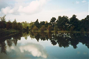 Filename=RHSDC21-COMP-HPC1987GE-084.jpg
Filesize=144KiB
Dimensions=1800x1182
Date added=Feb 07, 2026 RHSDC21-COMP-HPC1987GE-084.jpg