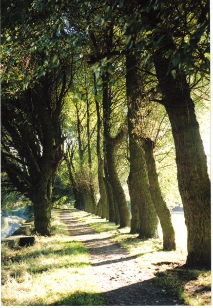 Nuttall park
14-Leisure-01-Parks and Gardens-001-Nuttall Park General
Keywords: 1989