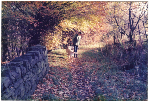 Out for a walk in the woods at Stubbins
17-Buildings and the Urban Environment-05-Street Scenes-027-Stubbins Lane and Stubbins area
Keywords: 1989