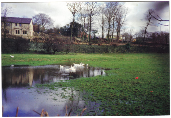 Chatterton lane , Chatterton
17-Buildings and the Urban Environment-05-Street Scenes-032 Chatterton Area
Keywords: 1989