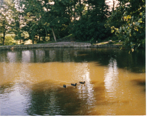 Kay Brow Lodge 
17-Buildings and the Urban Environment-05-Street Scenes-006-Carr Street and Tanners area
Keywords: 1990
