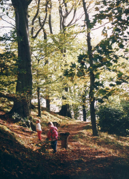 2 children playing in the trees at Nuttall park
14-Leisure-01-Parks and Gardens-001-Nuttall Park General
Keywords: 1990