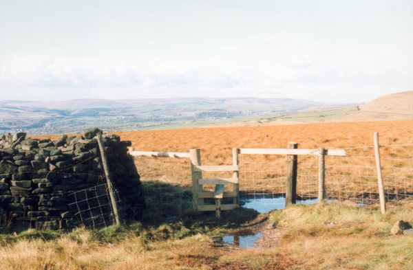 New stile on Holcombe Hill 
18-Agriculture and the Natural Environment-03-Topography and Landscapes-001-Holcombe Hill
Keywords: 1992