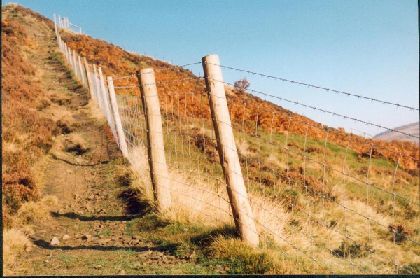 Dangerous barbed wire fence erected on Holcombe Hill 
18-Agriculture and the Natural Environment-03-Topography and Landscapes-001-Holcombe Hill
Keywords: 1992