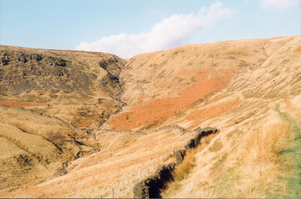 Holcombe Heather survey
18-Agriculture and the Natural Environment-03-Topography and Landscapes-001-Holcombe Hill
Keywords: 1992