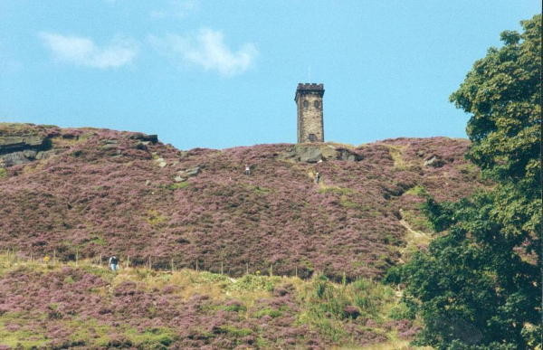 Holcombe Heather
18-Agriculture and the Natural Environment-03-Topography and Landscapes-001-Holcombe Hill
Keywords: 1993