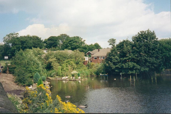 Springwood Lodge wildlife 
17-Buildings and the Urban Environment-05-Street Scenes-006-Carr Street and Tanners area
Keywords: 1993
