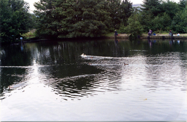 Springwood Lodge 
17-Buildings and the Urban Environment-05-Street Scenes-006-Carr Street and Tanners area
Keywords: 1994