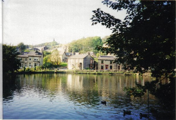Ducks on Springwood Lodge 
17-Buildings and the Urban Environment-05-Street Scenes-006-Carr Street and Tanners area
Keywords: 1995