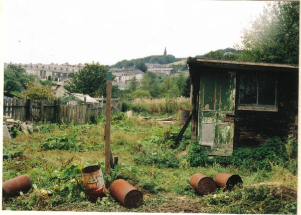 Back gardens
19-Animals and Plants-01-General-000-General
Keywords: 1995