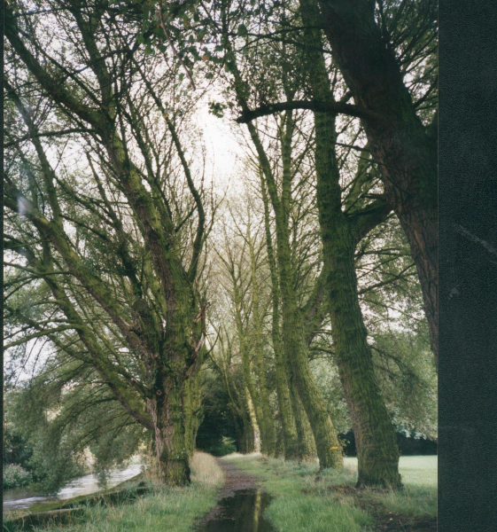 Nuttall park
14-Leisure-01-Parks and Gardens-001-Nuttall Park General
Keywords: 1996