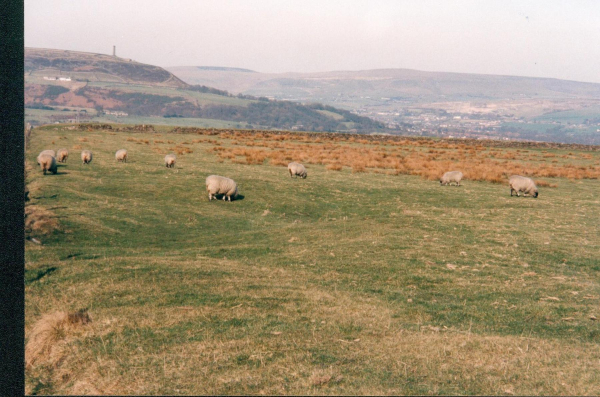 Holcombe and Ramsbottom from Black Lane, Affetside 
18-Agriculture and the Natural Environment-03-Topography and Landscapes-000-General
Keywords: 1996