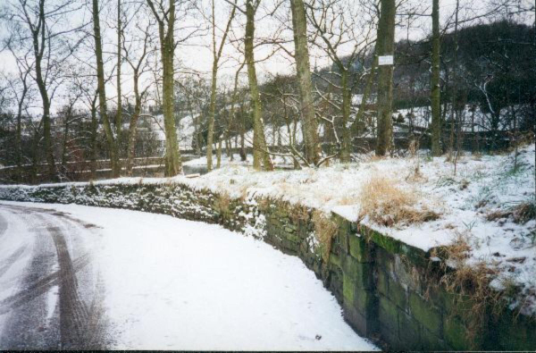 Carr Bank Road
17-Buildings and the Urban Environment-05-Street Scenes-006-Carr Street and Tanners area
Keywords: 1996