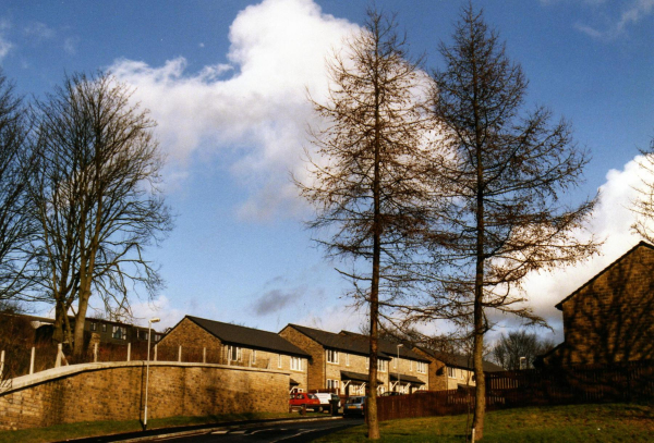 New houses at Springwood Lodge 
17-Buildings and the Urban Environment-05-Street Scenes-006-Carr Street and Tanners area
Keywords: 1997