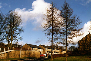 Filename=RHSDC21-COMP-HPC1997TC-032.jpg
Filesize=385KiB
Dimensions=1800x1223
Date added=Feb 07, 2026 RHSDC21-COMP-HPC1997TC-032.jpg