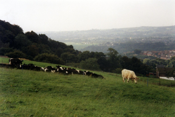 View from Grant's Tower
08- History-01-Monuments-001-Grant's Tower
Keywords: 1999