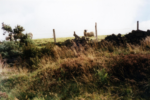 Near Grant's Tower
08- History-01-Monuments-001-Grant's Tower
Keywords: 1999
