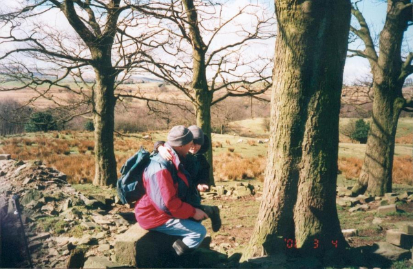 A dad's teachings - Redisher 
people
Keywords: 2000