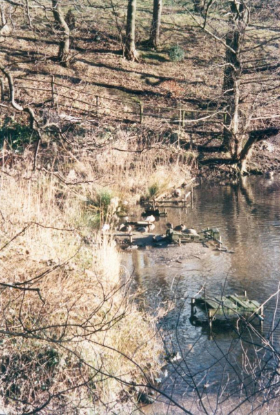 Top Lodge  Carr Bank 
17-Buildings and the Urban Environment-05-Street Scenes-006-Carr Street and Tanners area
Keywords: 2000