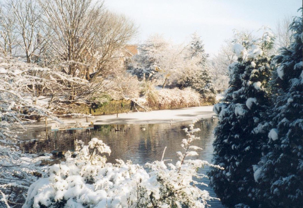 Devil Holes' Lodge - December 
17-Buildings and the Urban Environment-05-Street Scenes-006-Carr Street and Tanners area
Keywords: 2000